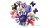 LEGO BOTANICALS 11507 Bukiet kwiatów Olivii Rodrigo 4.jpg
