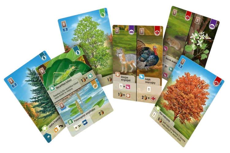 rebel-gra-karciana-lesne-rozdanie-smoky-mountains-asset2.png