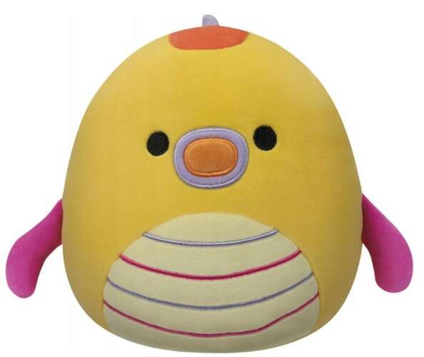 Zdjęcie