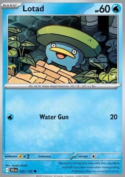 Lotad (JTG 035).jpg